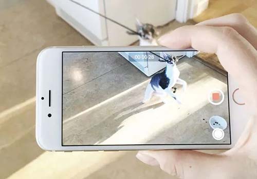 動畫設計作品集